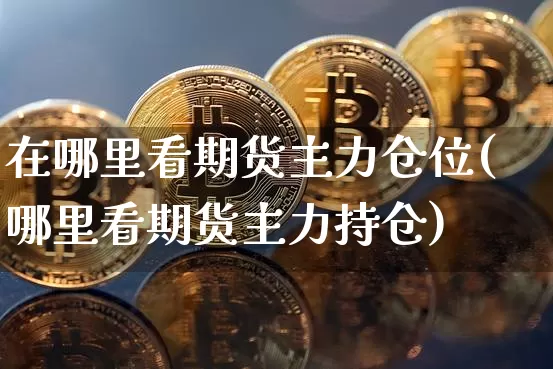 在哪里看期货主力仓位(哪里看期货主力持仓)_https://m.zghnxxa.com_黄金直播_第1张