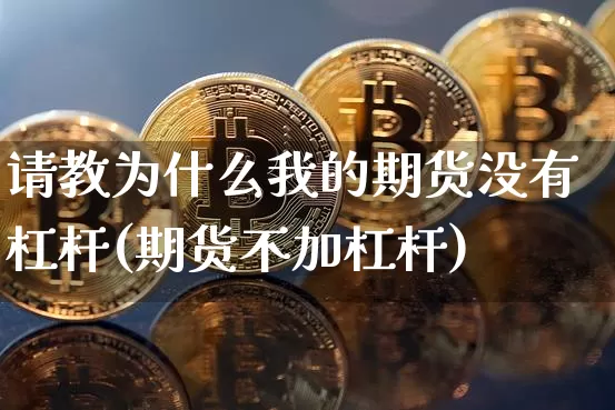 请教为什么我的期货没有杠杆(期货不加杠杆)_https://m.zghnxxa.com_原油直播_第1张