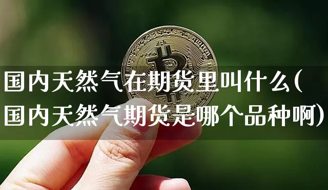 国内天然气在期货里叫什么(国内天然气期货是哪个品种啊)_黄金直播_第1张_诸葛期货直播室 国内天然气在期货里叫什么(国内天然气期货是哪个品种啊)_https://m.zghnxxa.com_黄金直播_第1张