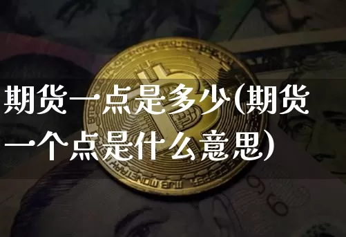 期货一点是多少(期货一个点是什么意思)_https://m.zghnxxa.com_原油直播_第1张
