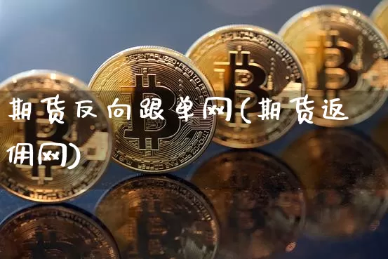 期货反向跟单网(期货返佣网)_https://m.zghnxxa.com_股指期货_第1张