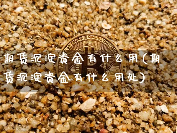 期货沉淀资金有什么用(期货沉淀资金有什么用处)_https://m.zghnxxa.com_股指期货_第1张
