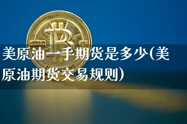 美原油一手期货是多少(美原油期货交易规则)_https://m.zghnxxa.com_期货资讯_第1张