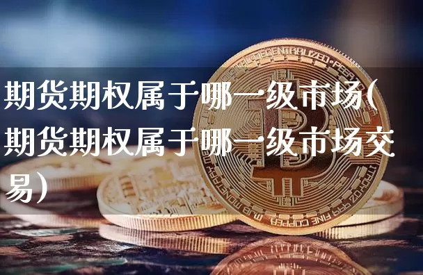 期货期权属于哪一级市场(期货期权属于哪一级市场交易)_https://m.zghnxxa.com_原油直播_第1张