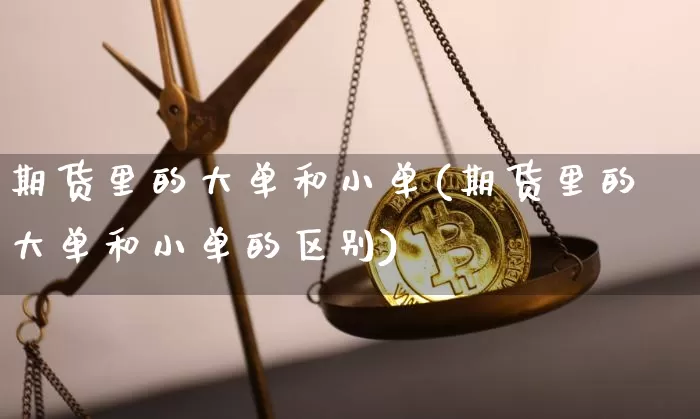 期货里的大单和小单(期货里的大单和小单的区别)_https://m.zghnxxa.com_原油直播_第1张