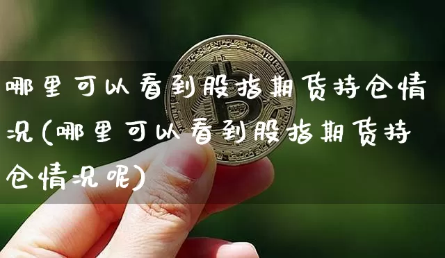 哪里可以看到股指期货持仓情况(哪里可以看到股指期货持仓情况呢)_https://m.zghnxxa.com_期货资讯_第1张