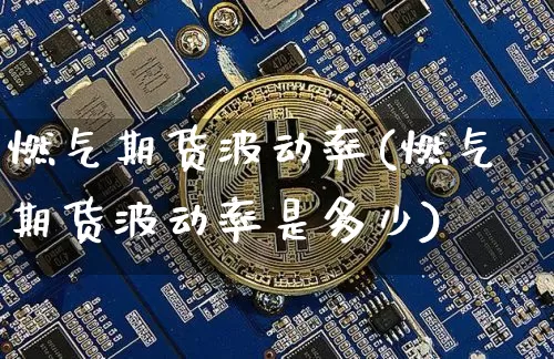 燃气期货波动率(燃气期货波动率是多少)_https://m.zghnxxa.com_纳指期货_第1张