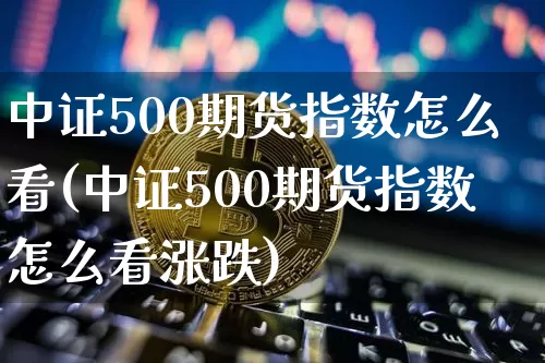 中证500期货指数怎么看(中证500期货指数怎么看涨跌)_https://m.zghnxxa.com_股指期货_第1张