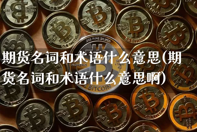 期货名词和术语什么意思(期货名词和术语什么意思啊)_https://m.zghnxxa.com_期货资讯_第1张