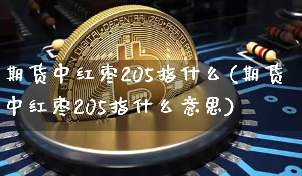 期货中红枣205指什么(期货中红枣205指什么意思)_https://m.zghnxxa.com_纳指期货_第1张