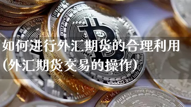 如何进行外汇期货的合理利用(外汇期货交易的操作)_https://m.zghnxxa.com_恒指期货_第1张