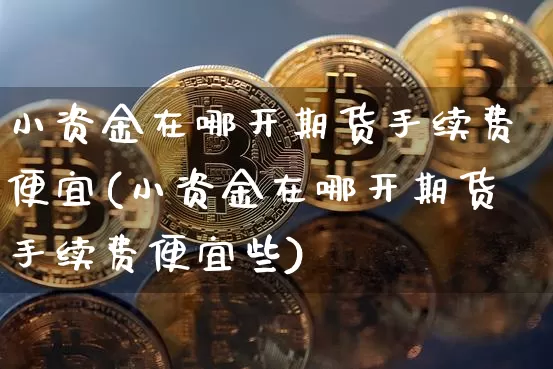 小资金在哪开期货手续费便宜(小资金在哪开期货手续费便宜些)_https://m.zghnxxa.com_原油直播_第1张
