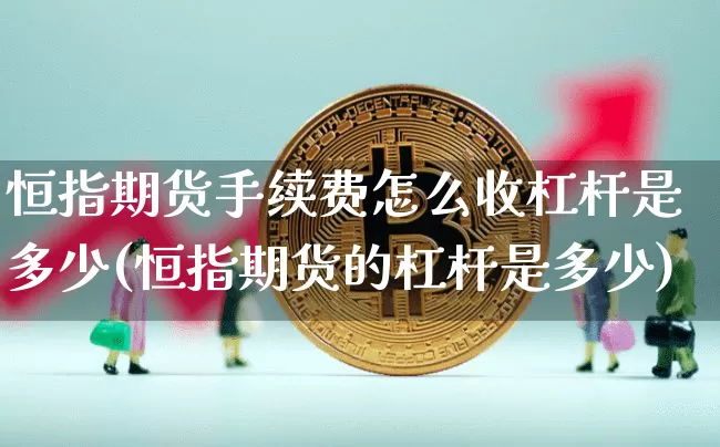 恒指期货手续费怎么收杠杆是多少(恒指期货的杠杆是多少)_https://m.zghnxxa.com_天然气期货_第1张