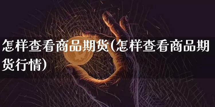 怎样查看商品期货(怎样查看商品期货行情)_https://m.zghnxxa.com_恒指期货_第1张