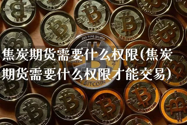 焦炭期货需要什么权限(焦炭期货需要什么权限才能交易)_https://m.zghnxxa.com_恒指期货_第1张