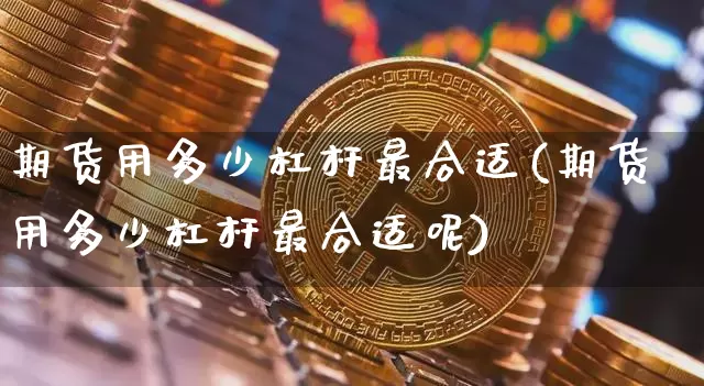 期货用多少杠杆最合适(期货用多少杠杆最合适呢)_https://m.zghnxxa.com_黄金直播_第1张