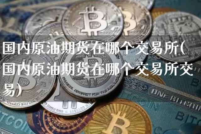 国内原油期货在哪个交易所(国内原油期货在哪个交易所交易)_https://m.zghnxxa.com_纳指期货_第1张