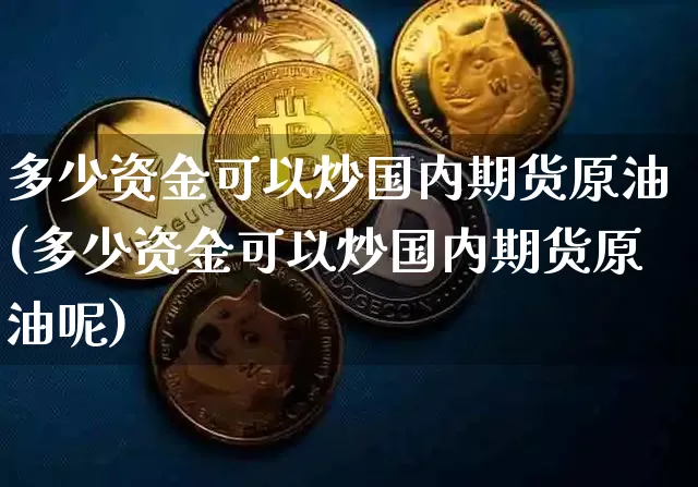 多少资金可以炒国内期货原油(多少资金可以炒国内期货原油呢)_https://m.zghnxxa.com_黄金直播_第1张