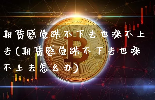 期货感觉跌不下去也涨不上去(期货感觉跌不下去也涨不上去怎么办)_https://m.zghnxxa.com_天然气期货_第1张