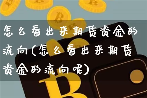 怎么看出来期货资金的流向(怎么看出来期货资金的流向呢)_https://m.zghnxxa.com_黄金直播_第1张