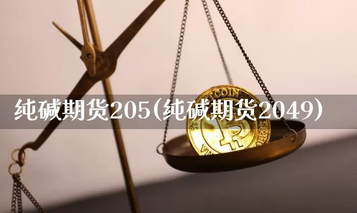 纯碱期货205(纯碱期货2049)_https://m.zghnxxa.com_纳指期货_第1张