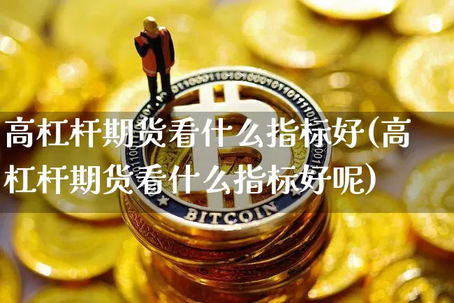 高杠杆期货看什么指标好(高杠杆期货看什么指标好呢)_https://m.zghnxxa.com_天然气期货_第1张