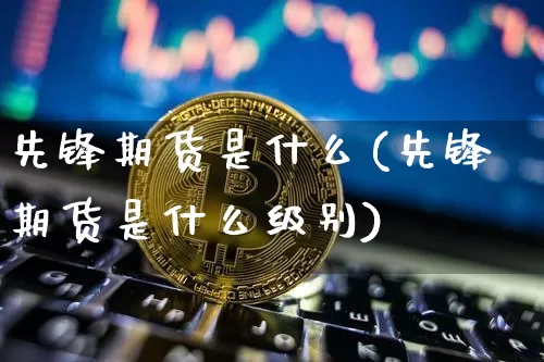 先锋期货是什么(先锋期货是什么级别)_https://m.zghnxxa.com_天然气期货_第1张