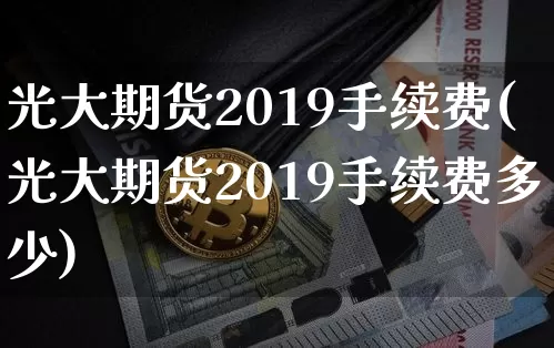 光大期货2019手续费(光大期货2019手续费多少)_https://m.zghnxxa.com_股指期货_第1张