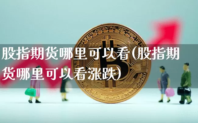 股指期货哪里可以看(股指期货哪里可以看涨跌)_https://m.zghnxxa.com_原油直播_第1张