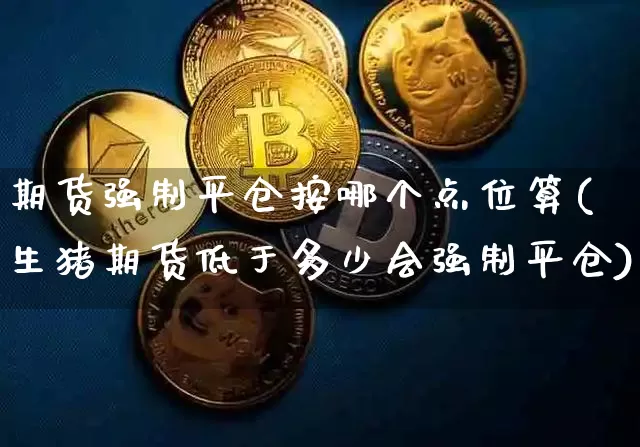 期货强制平仓按哪个点位算(生猪期货低于多少会强制平仓)_https://m.zghnxxa.com_恒指期货_第1张