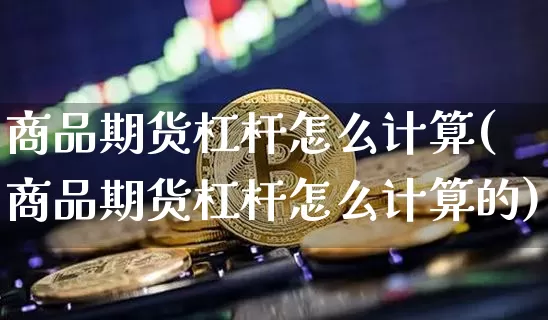 商品期货杠杆怎么计算(商品期货杠杆怎么计算的)_https://m.zghnxxa.com_天然气期货_第1张