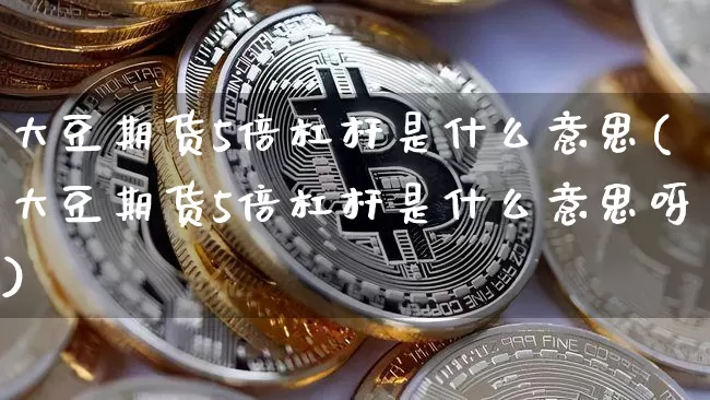 大豆期货5倍杠杆是什么意思(大豆期货5倍杠杆是什么意思呀)_https://m.zghnxxa.com_恒指期货_第1张