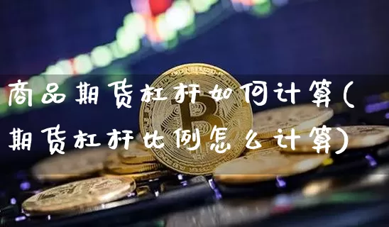商品期货杠杆如何计算(期货杠杆比例怎么计算)_https://m.zghnxxa.com_恒指期货_第1张