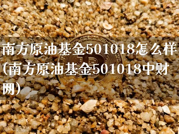 南方原油基金501018怎么样(南方原油基金501018中财网)_https://m.zghnxxa.com_纳指期货_第1张