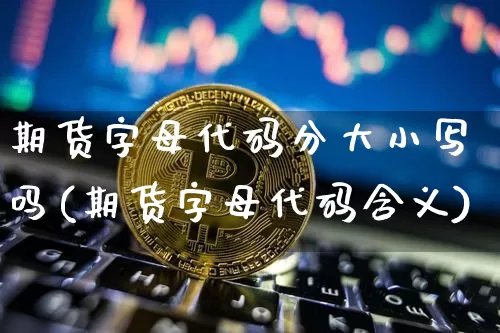 期货字母代码分大小写吗(期货字母代码含义)_https://m.zghnxxa.com_期货资讯_第1张