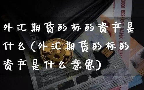 外汇期货的标的资产是什么(外汇期货的标的资产是什么意思)_https://m.zghnxxa.com_黄金直播_第1张