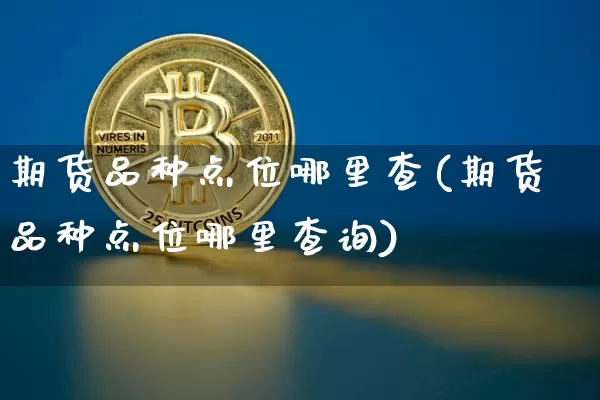 期货品种点位哪里查(期货品种点位哪里查询)_https://m.zghnxxa.com_股指期货_第1张