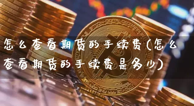 怎么查看期货的手续费(怎么查看期货的手续费是多少)_https://m.zghnxxa.com_股指期货_第1张