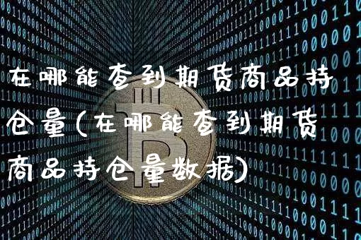 在哪能查到期货商品持仓量(在哪能查到期货商品持仓量数据)_https://m.zghnxxa.com_天然气期货_第1张