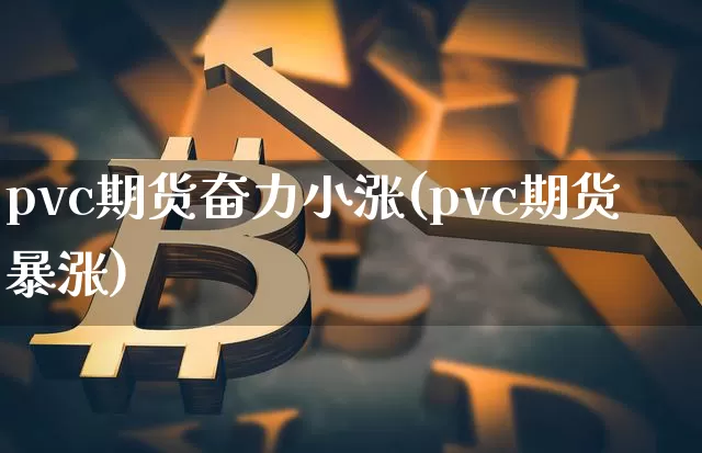 pvc期货奋力小涨(pvc期货暴涨)_https://m.zghnxxa.com_恒指期货_第1张