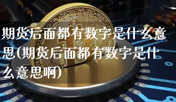 期货后面都有数字是什么意思(期货后面都有数字是什么意思啊)_https://m.zghnxxa.com_期货资讯_第1张