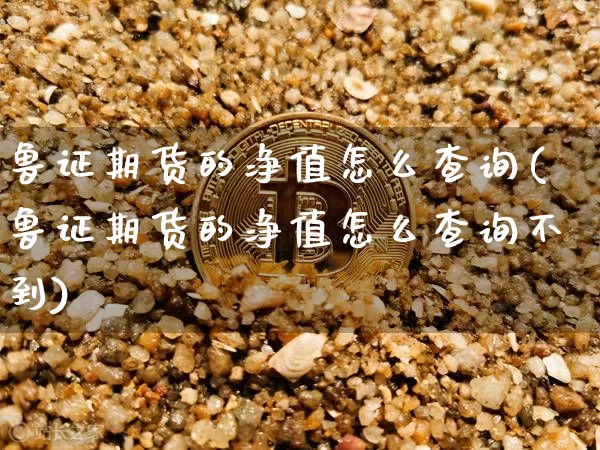 鲁证期货的净值怎么查询(鲁证期货的净值怎么查询不到)_https://m.zghnxxa.com_天然气期货_第1张