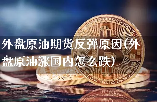 外盘原油期货反弹原因(外盘原油涨国内怎么跌)_https://m.zghnxxa.com_天然气期货_第1张