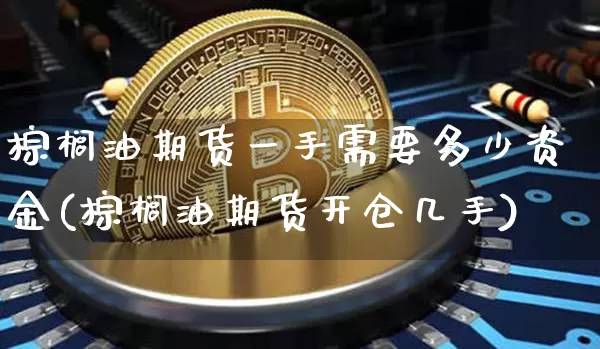 棕榈油期货一手需要多少资金(棕榈油期货开仓几手)_https://m.zghnxxa.com_恒指期货_第1张
