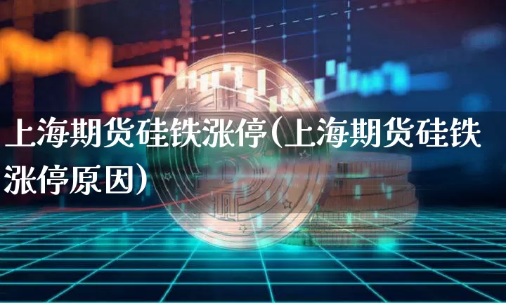 上海期货硅铁涨停(上海期货硅铁涨停原因)_https://m.zghnxxa.com_天然气期货_第1张