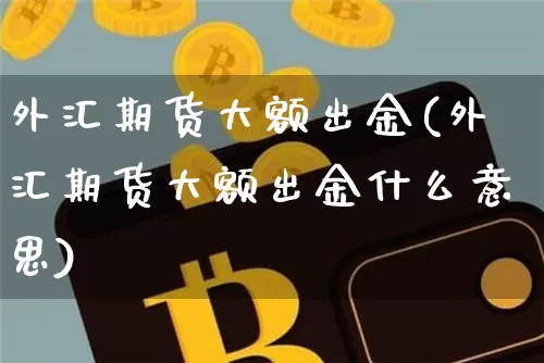 外汇期货大额出金(外汇期货大额出金什么意思)_https://m.zghnxxa.com_恒指期货_第1张