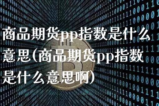 商品期货pp指数是什么意思(商品期货pp指数是什么意思啊)_https://m.zghnxxa.com_期货资讯_第1张