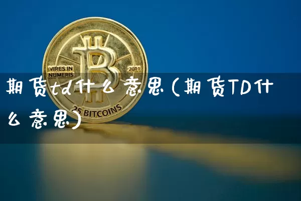 期货td什么意思(期货TD什么意思)_https://m.zghnxxa.com_纳指期货_第1张