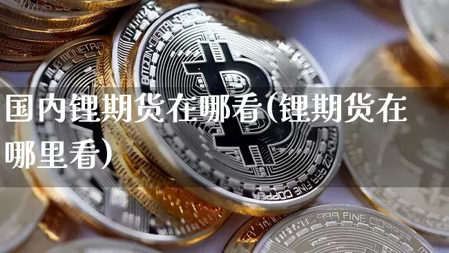 国内锂期货在哪看(锂期货在哪里看)_https://m.zghnxxa.com_天然气期货_第1张