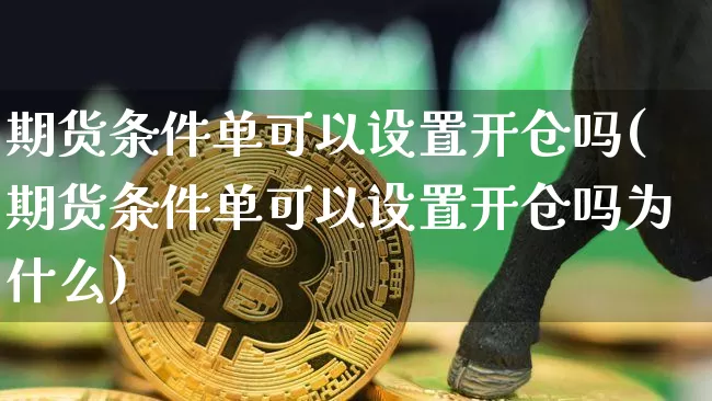 期货条件单可以设置开仓吗(期货条件单可以设置开仓吗为什么)_https://m.zghnxxa.com_股指期货_第1张
